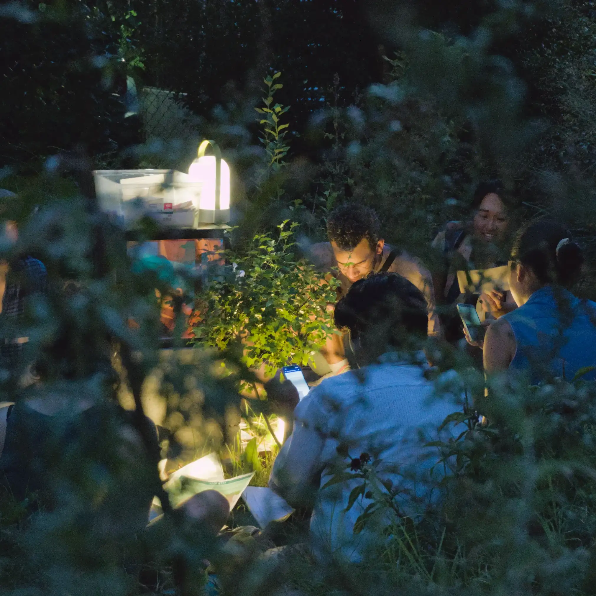 A group seated in the garden at dusk, reading papers and phones by lantern light, seen through the leaves